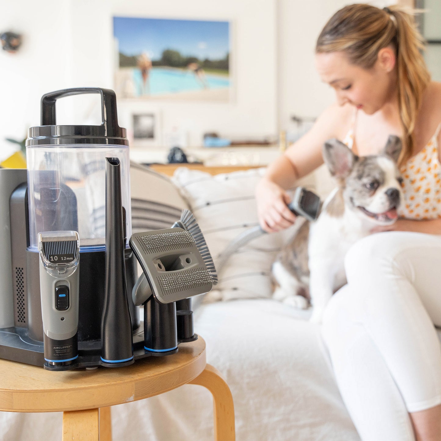 pet grooming vacuum kit with carrying case|innercircuits.org/