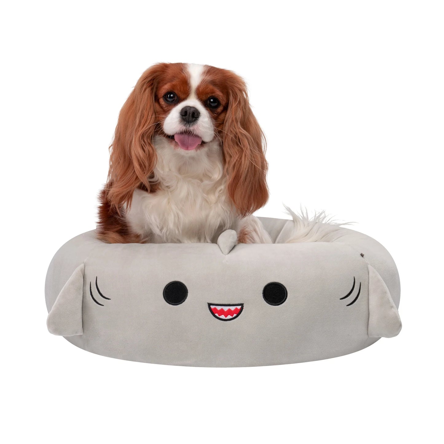 pet shark bed|innercircuits.org/