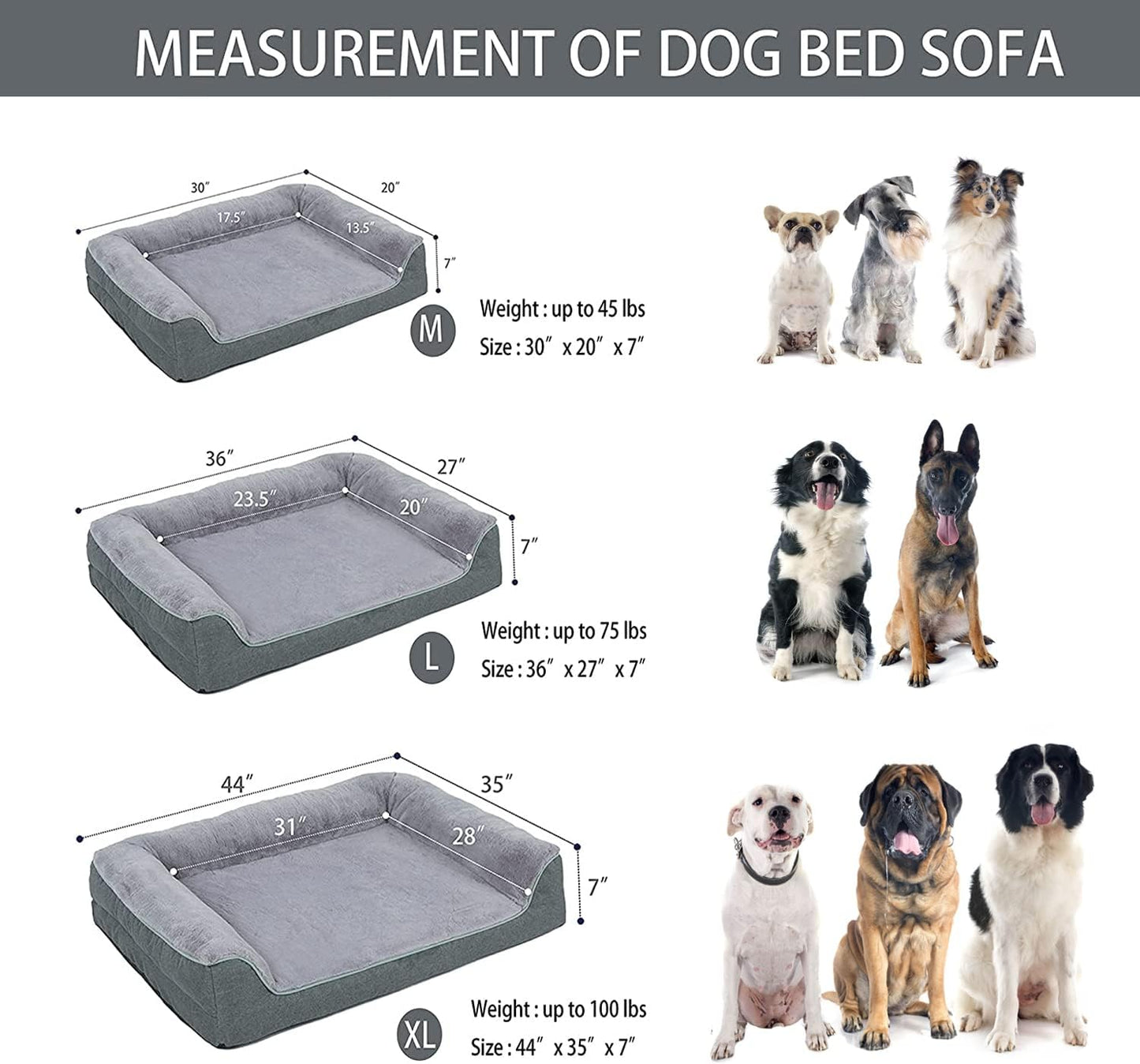 dog bed|innercircuits.org/