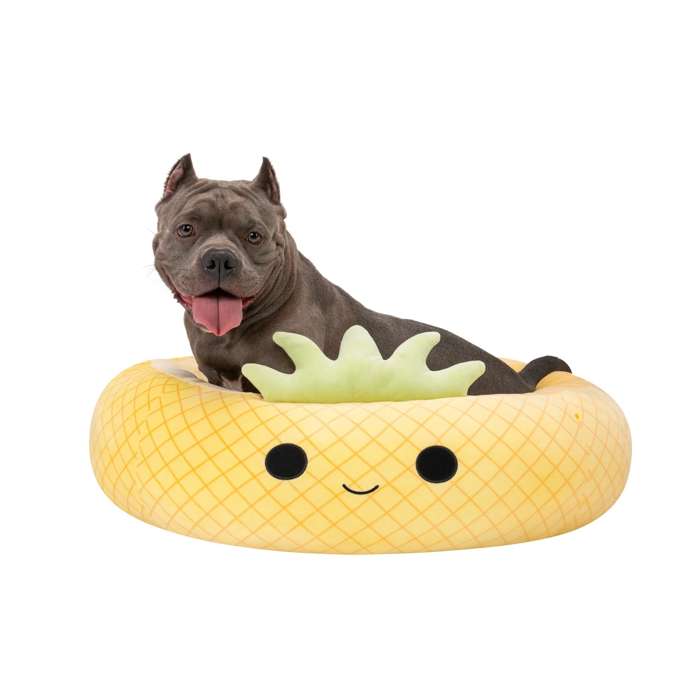 pineapple dog bed|innercircuits.org/