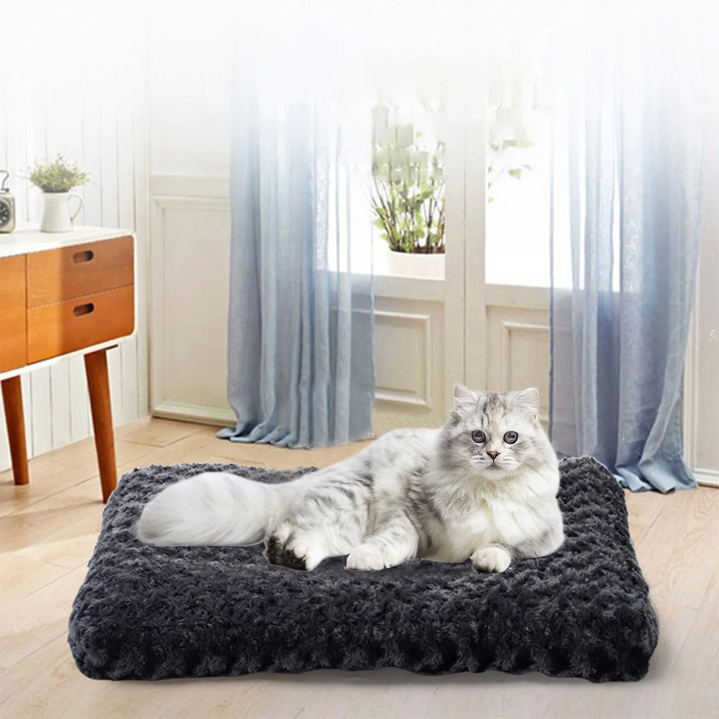 Clearance, Small Cat Bed Washable, Small Dog Bed Puppy Bed for Small Dogs - Anti-Slip Cat Sleeping Mat 17 Inches (Black)
