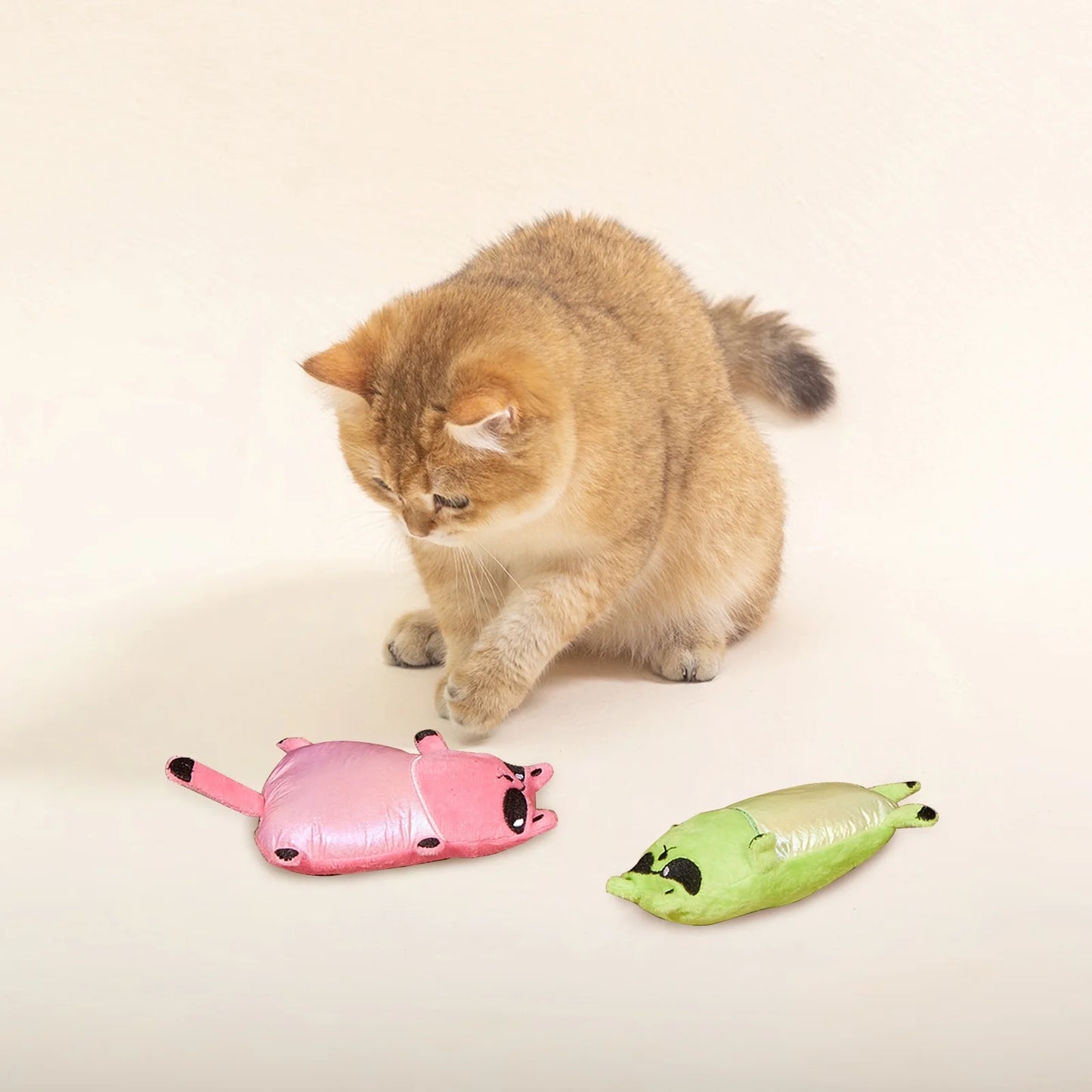 cat toy built in voice teeth cleaning|innercircuits.org/