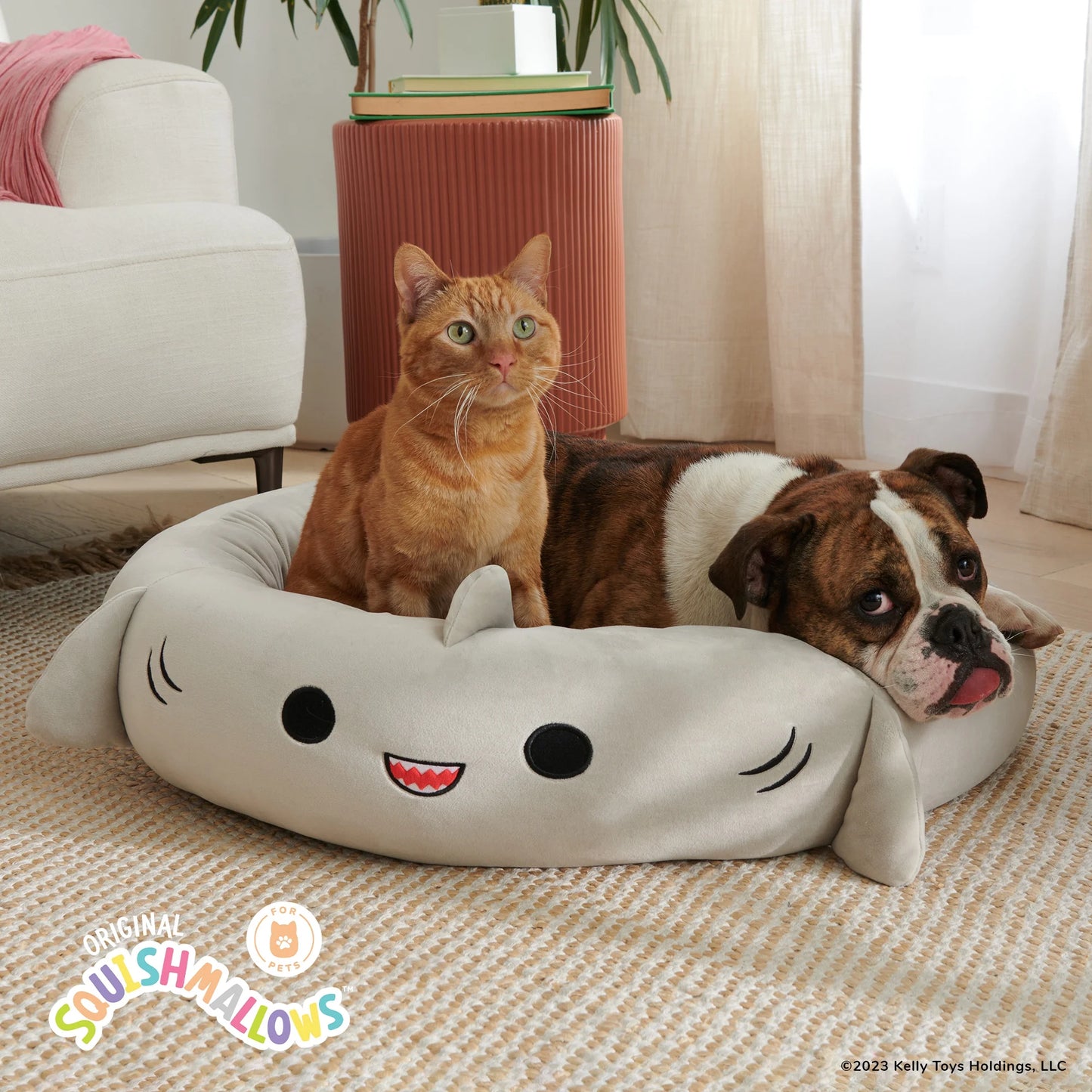 pet shark bed|innercircuits.org/