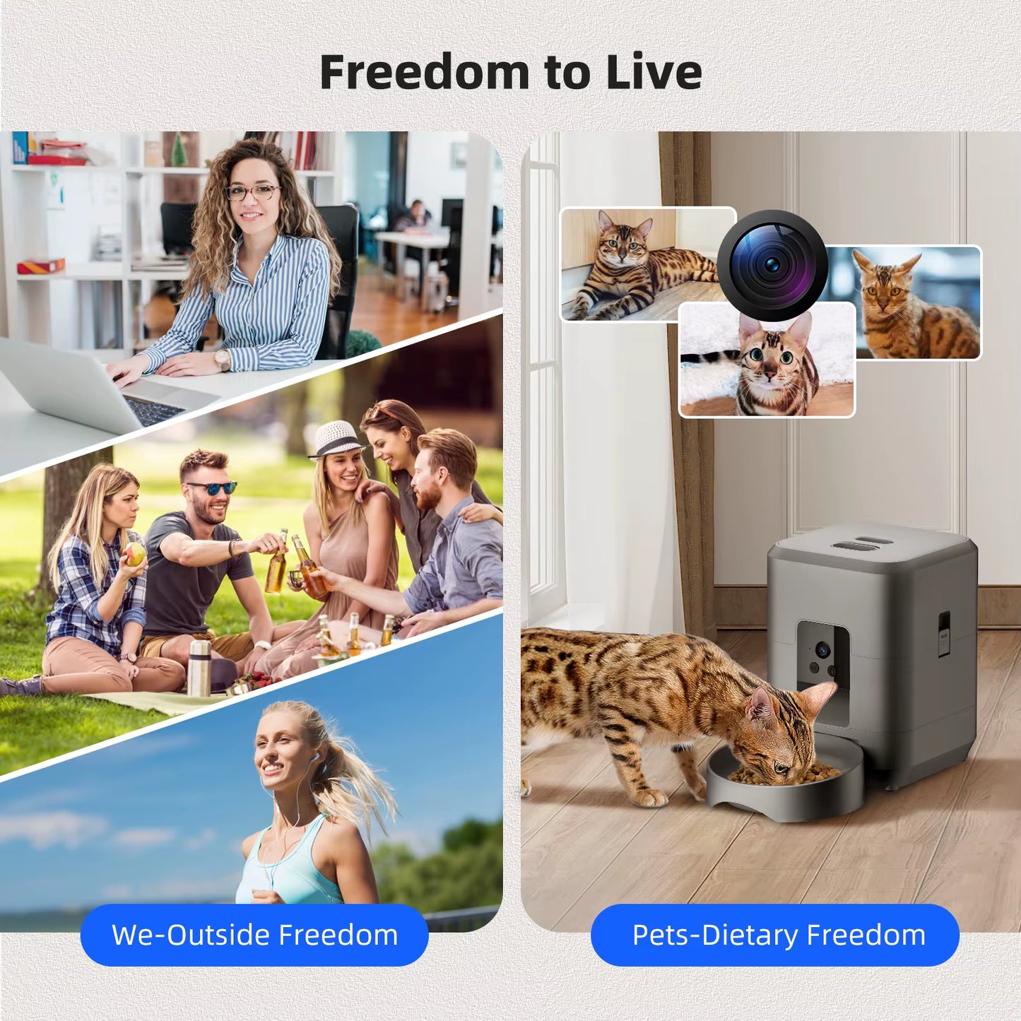 2L Button WIFI or Camera Pet Feeder Timing Smart Automatic for Cats APP Video Intelligent Dry Food Dispenser Dog Feeding Bowl