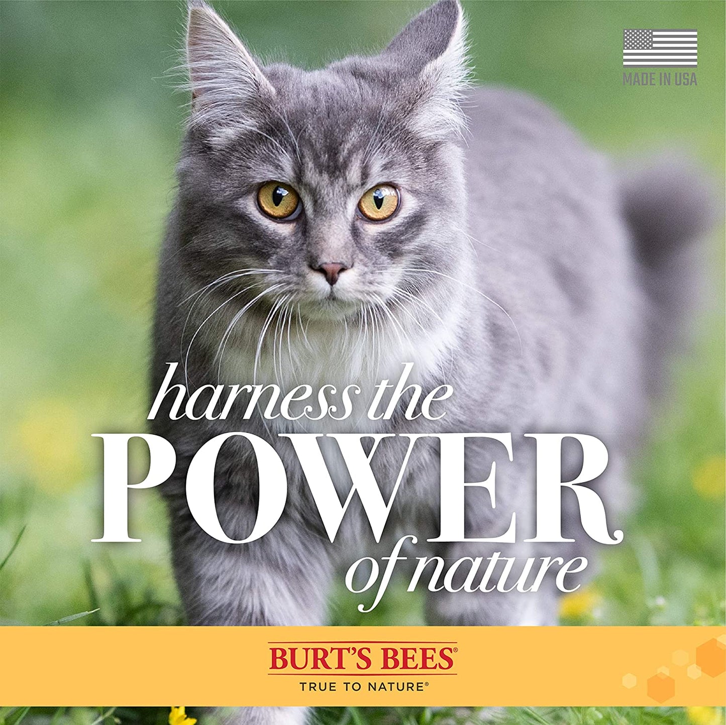 cat grooming wipes|innercircuits.org/