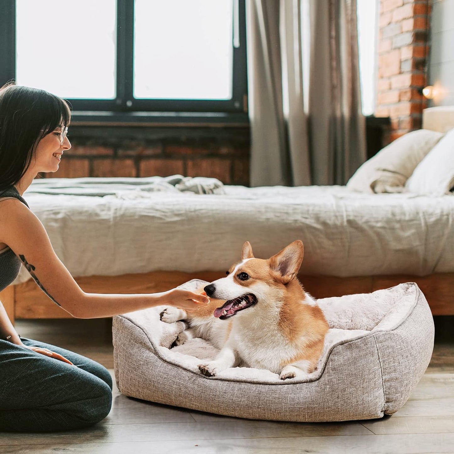 dog bed|innercircuits.org/