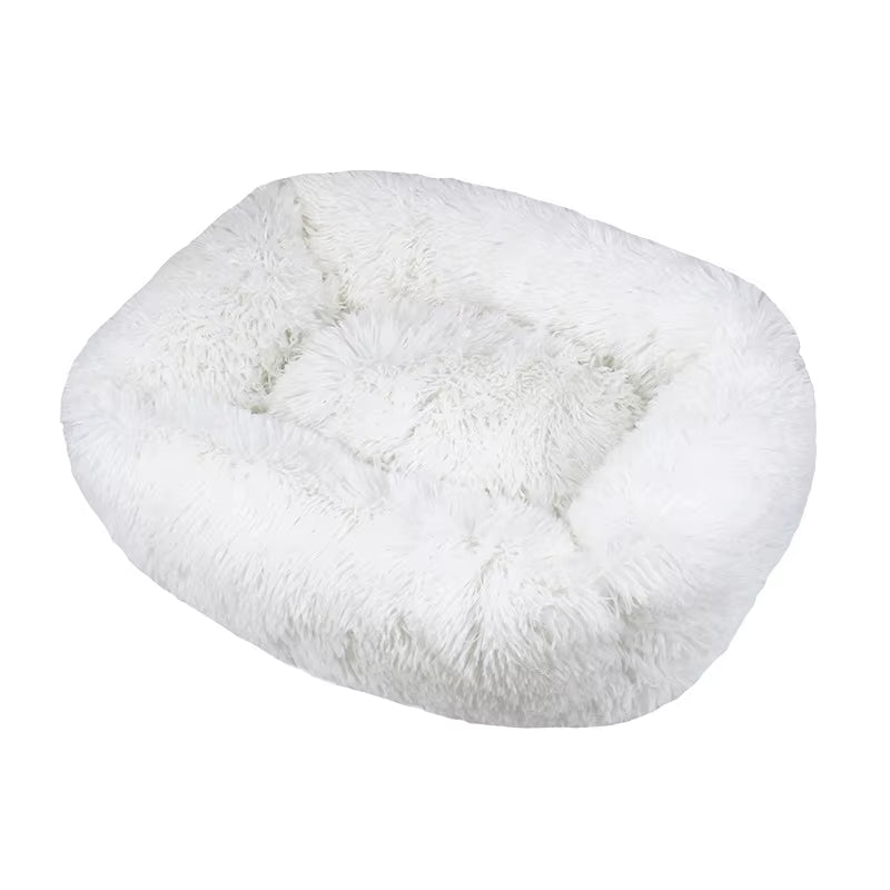 dog bed|innercircuits.org/