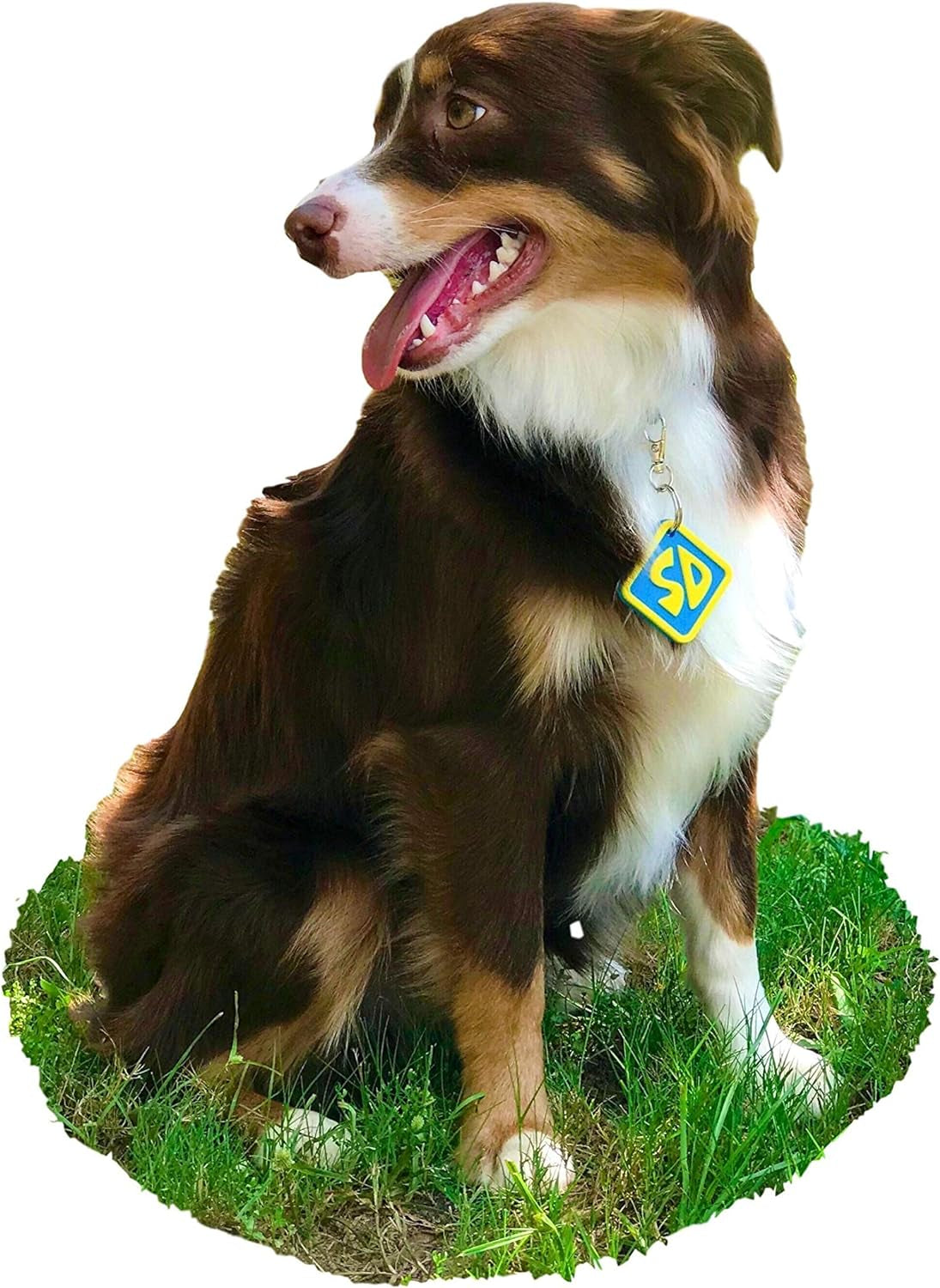 dog tag|innercircuits.org/