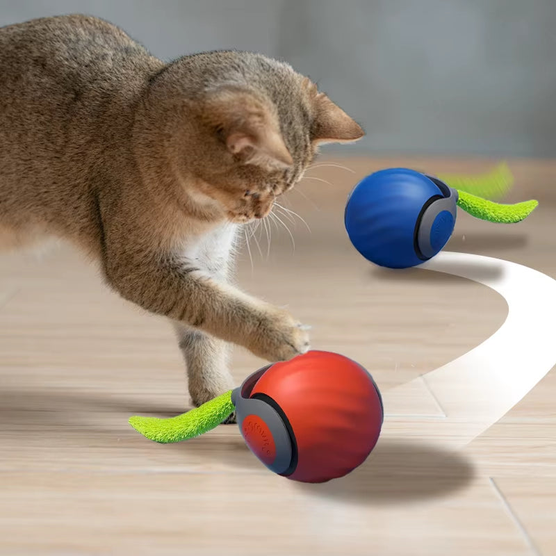 dog bouncing ball|innercircuits.org/