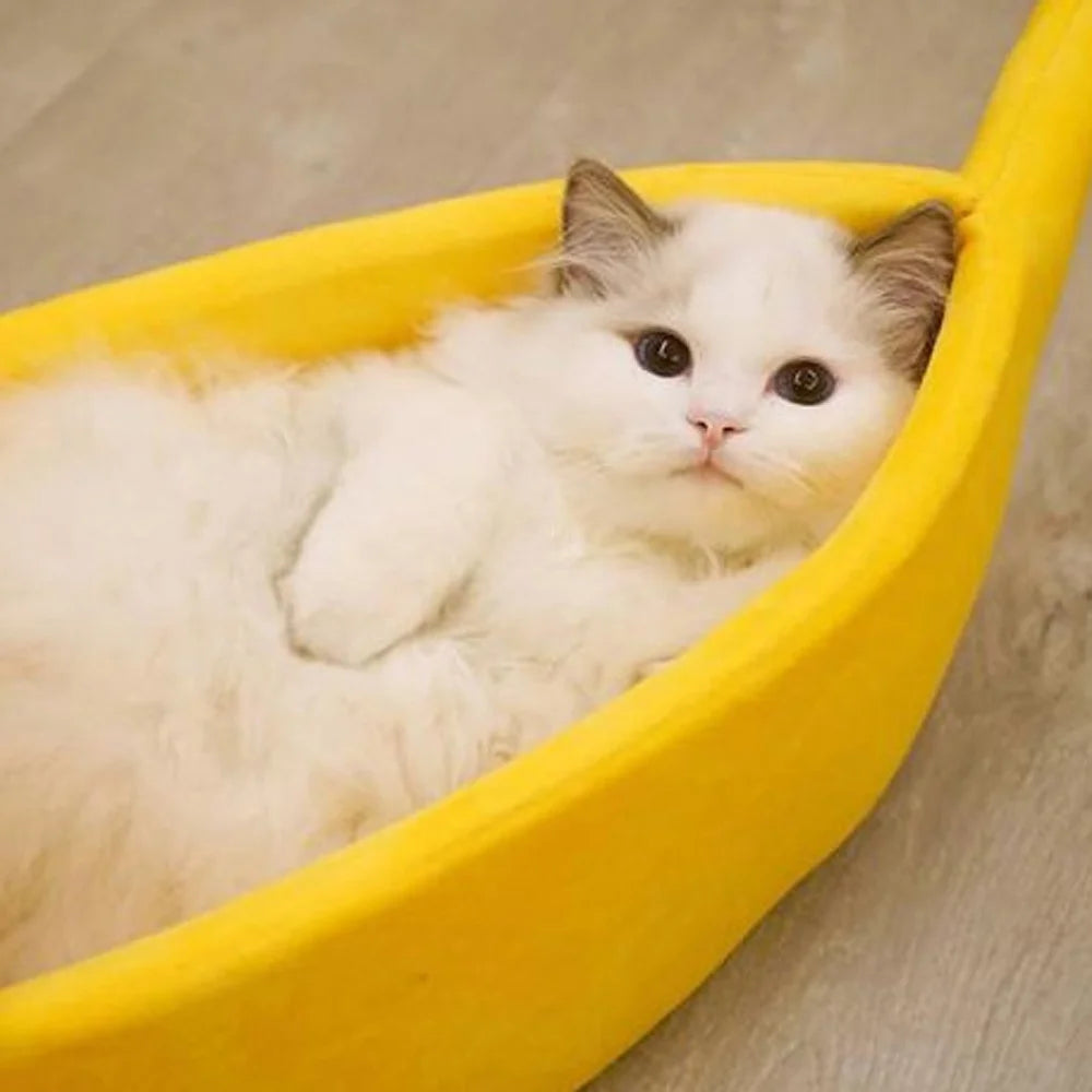 banana pet bed|innercircuits.org/