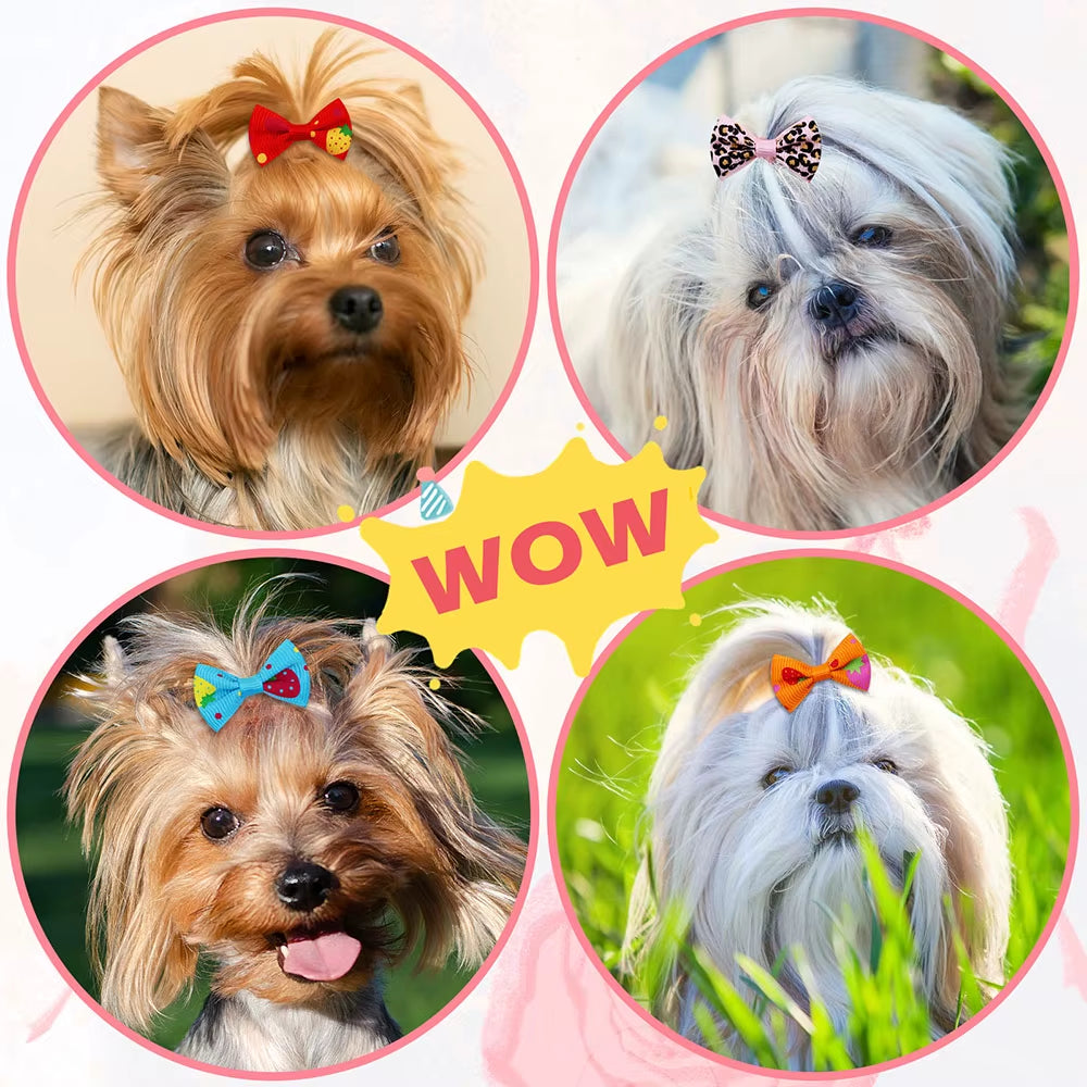 puppy hair bow|innercircuits.org/