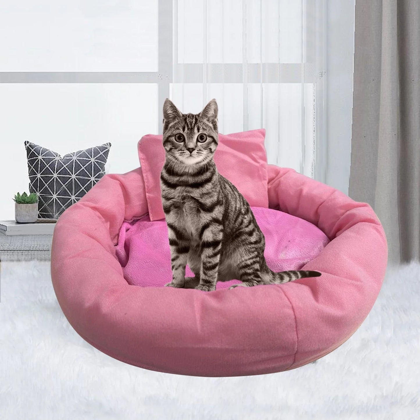 pet beds|innercircuits.org/