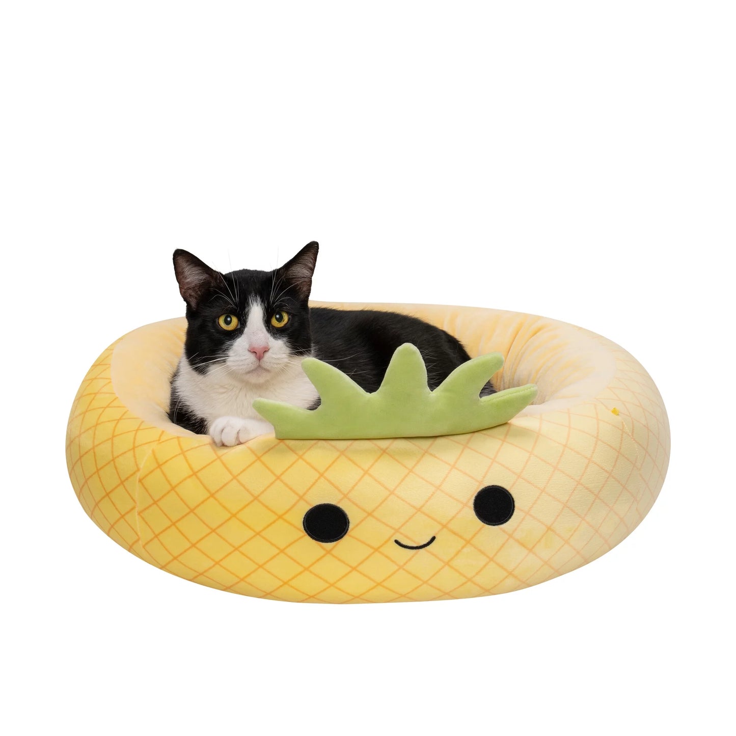 pineapple dog bed|innercircuits.org/