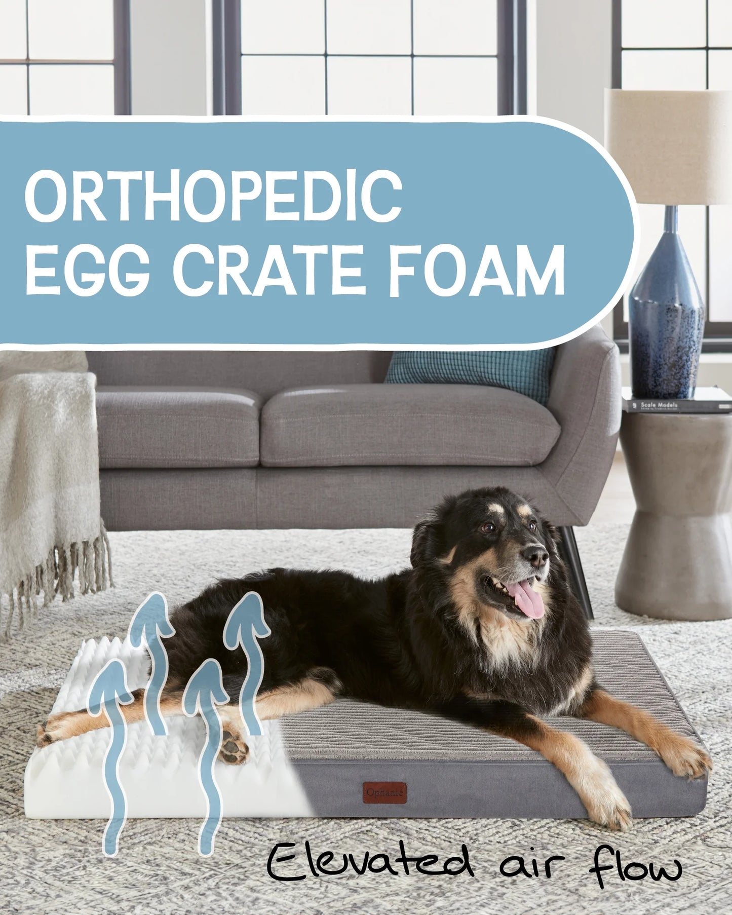 large orthopedic dog bed|innercircuits.org/