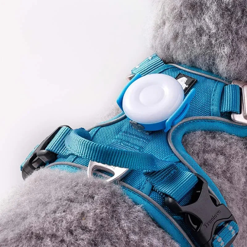 pet outdoor waterproof safety ledlight|innercircuits.org/