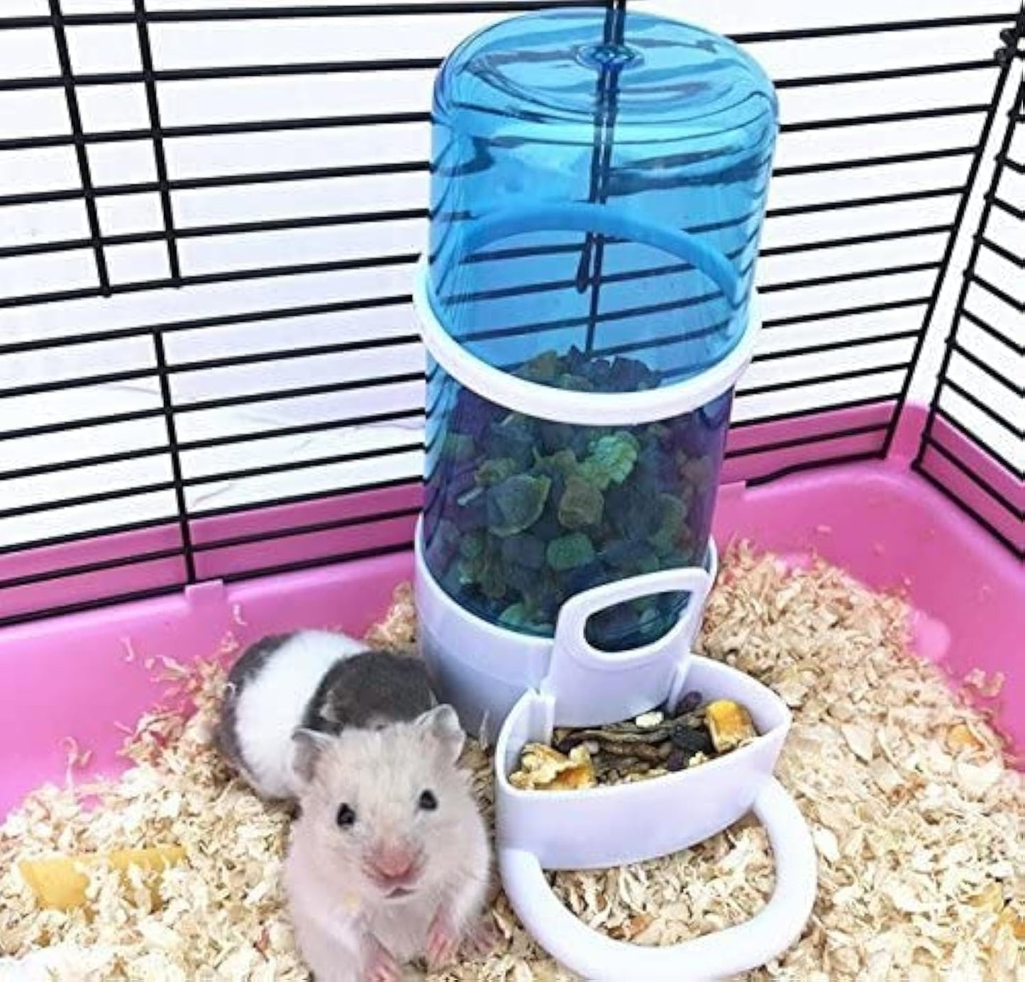 Pet Feeder Automatic,Bird Hamster Small Animal Feeder, Automatic Feeding Device Dispenser for Hamster Bird Pigeon Parrots Mini Hedgehog with Holder (5.90X2.83X6.10In)