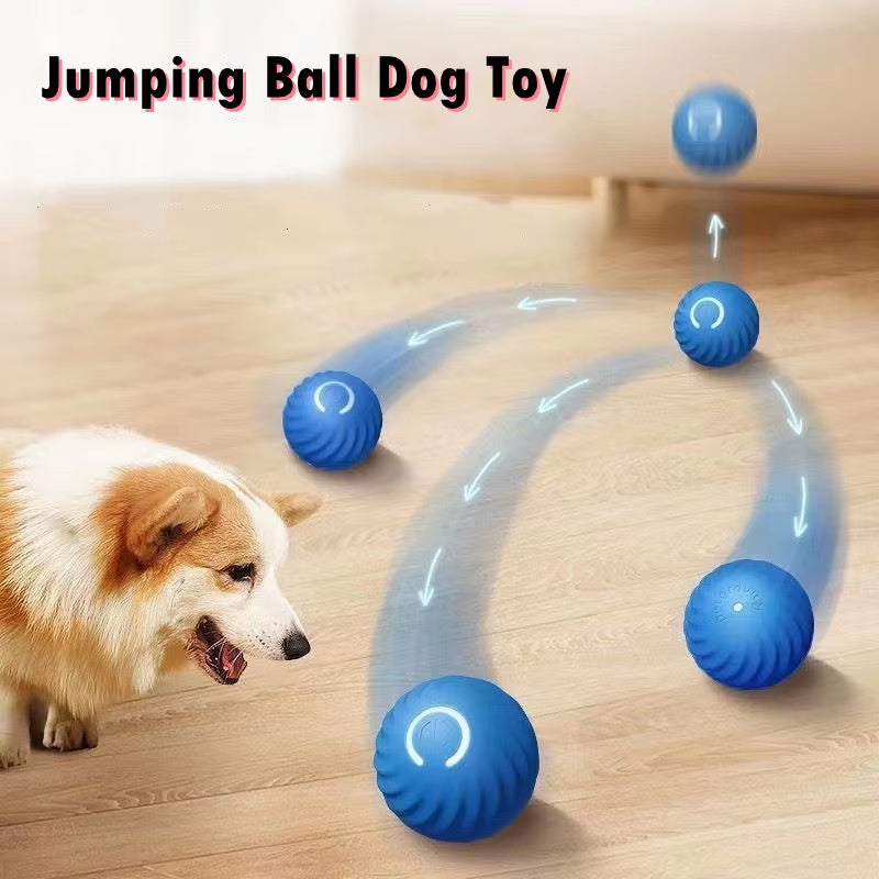 dog bouncing ball|innercircuits.org/