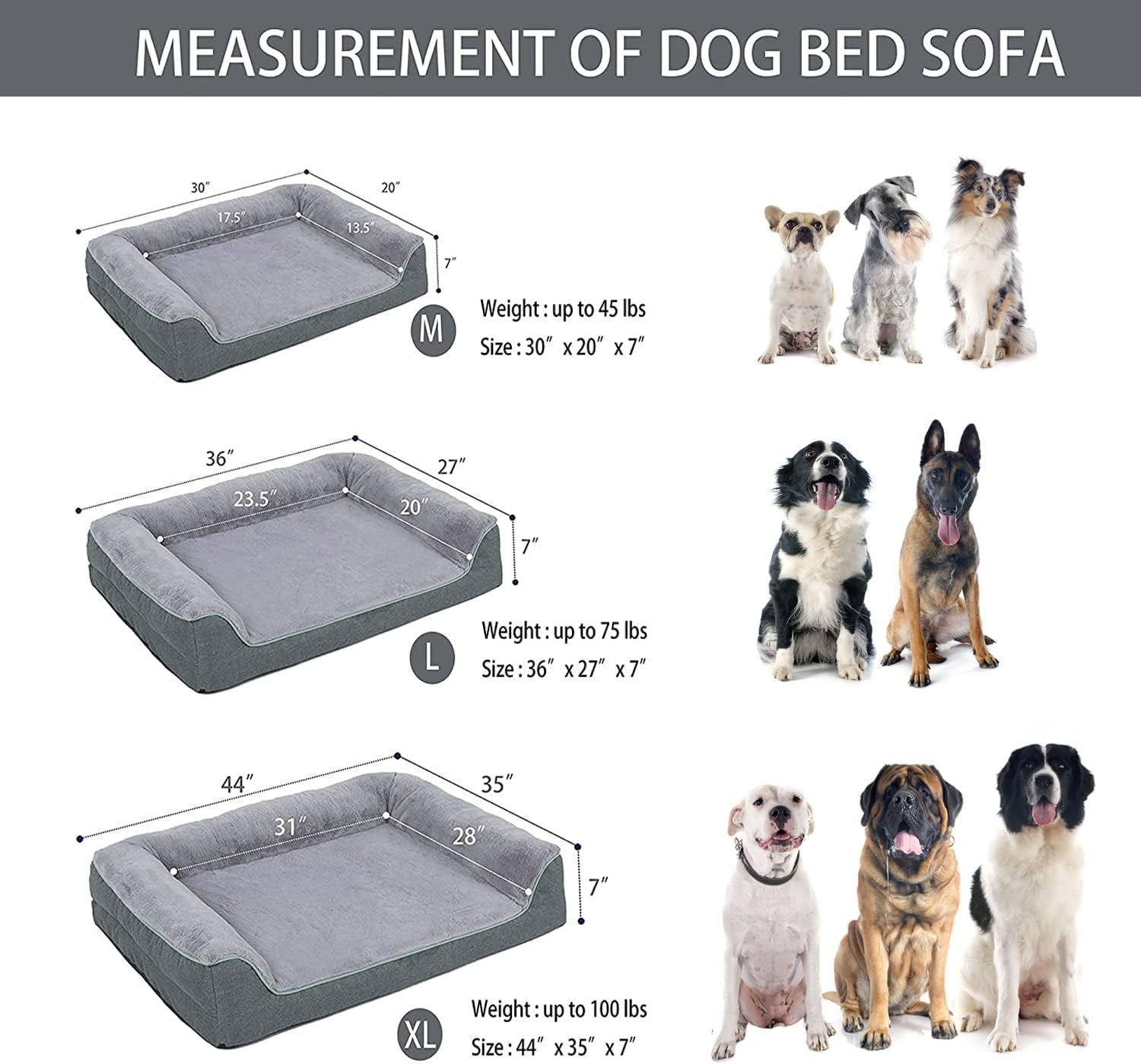 dog bed|innercircuits.org/