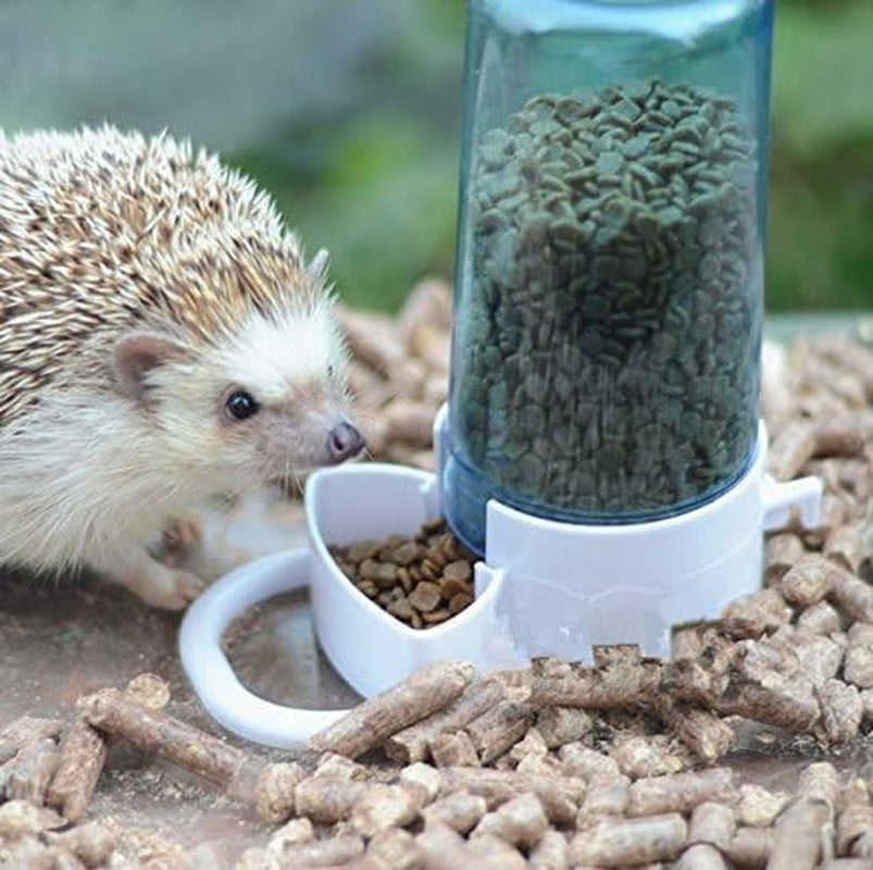 Pet Feeder Automatic,Bird Hamster Small Animal Feeder, Automatic Feeding Device Dispenser for Hamster Bird Pigeon Parrots Mini Hedgehog with Holder (5.90X2.83X6.10In)