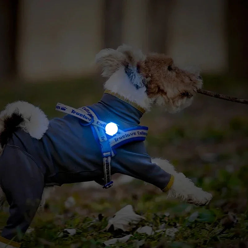 pet outdoor waterproof safety ledlight|innercircuits.org/