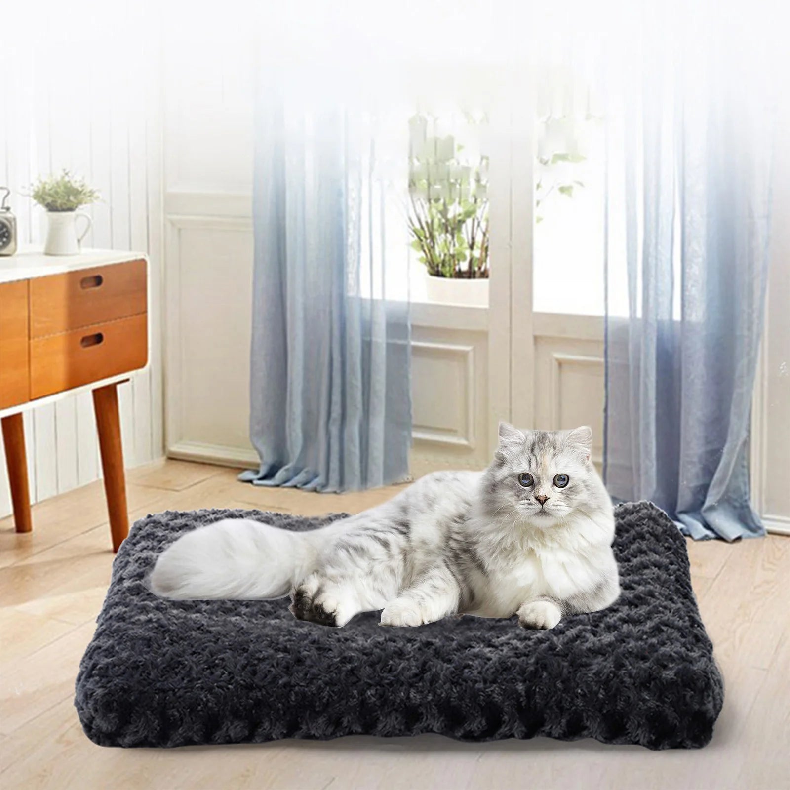 Clearance, Small Cat Bed Washable, Small Dog Bed Puppy Bed for Small Dogs - Anti-Slip Cat Sleeping Mat 17 Inches (Black)