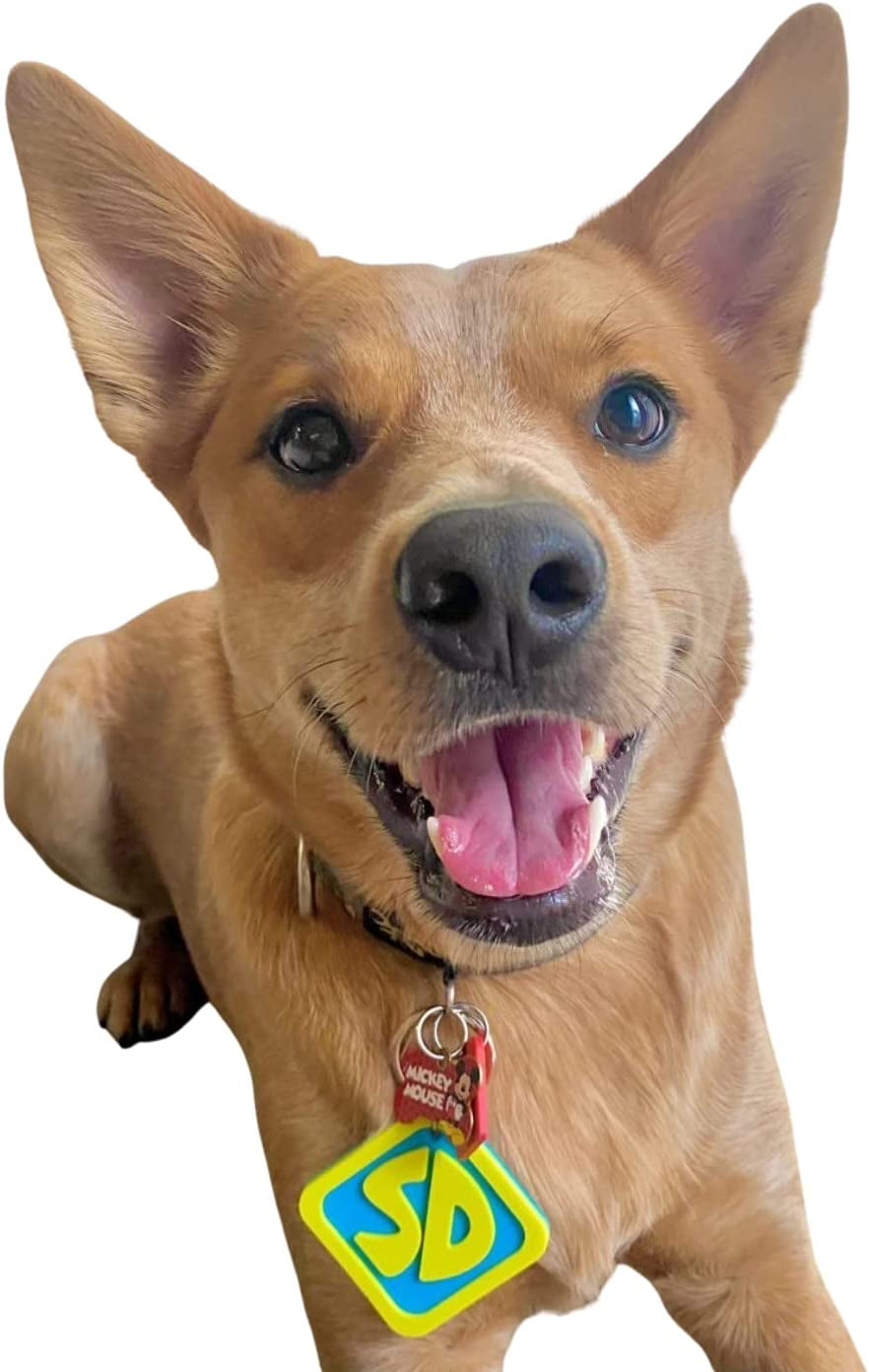 dog tag|innercircuits.org/