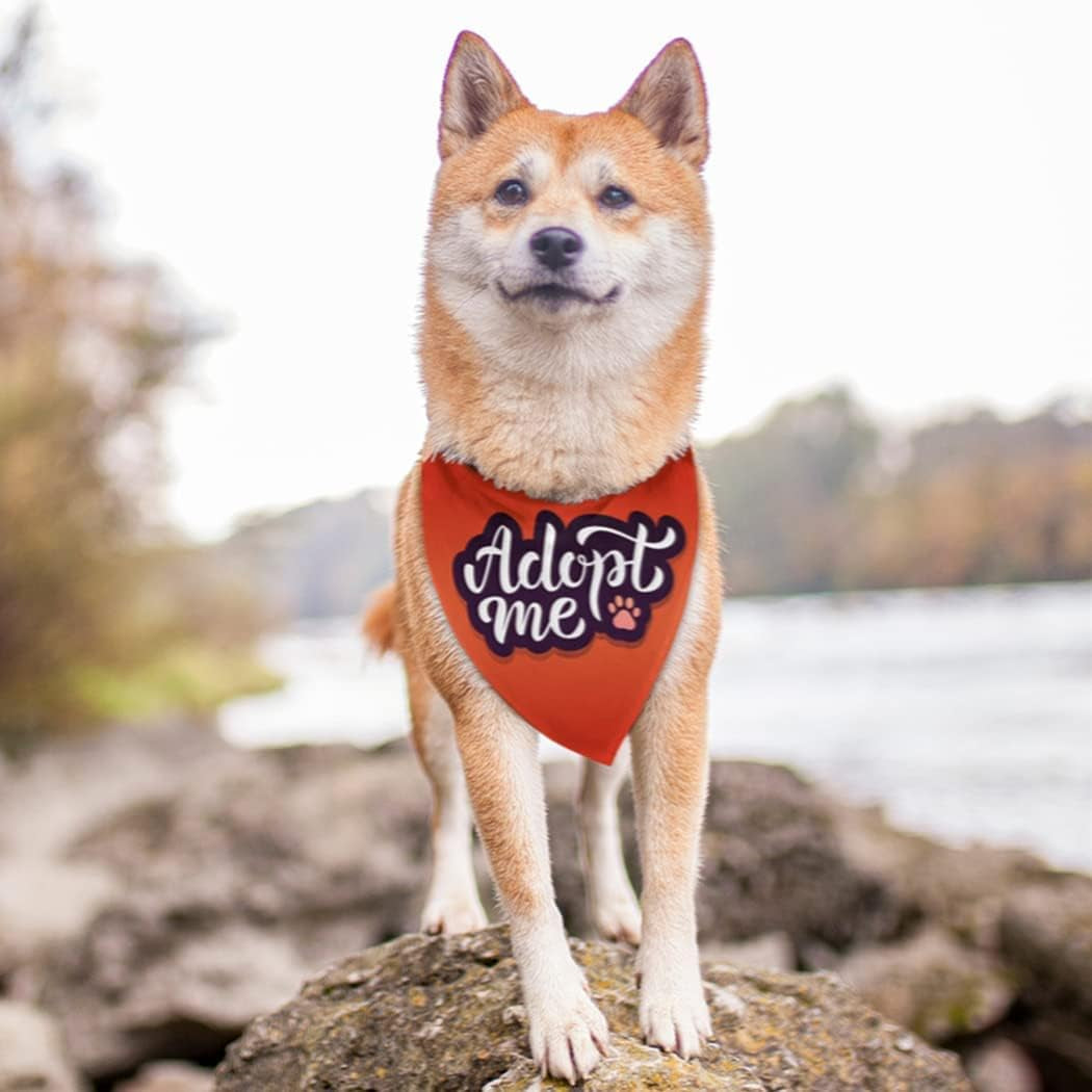 adopt me dog bandana|innercircuits.org/