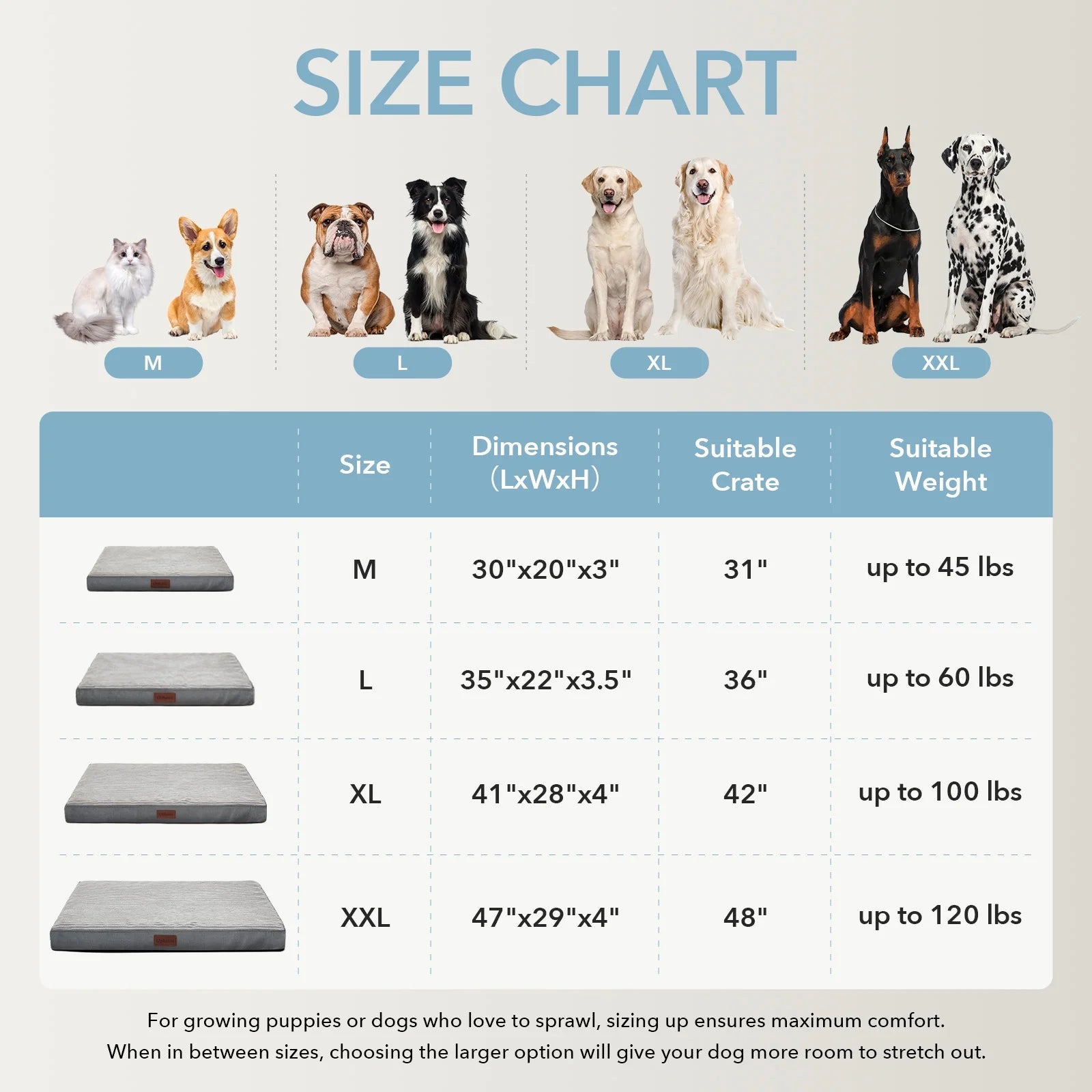 large orthopedic dog bed|innercircuits.org/