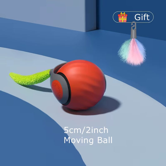 dog bouncing ball|innercircuits.org/