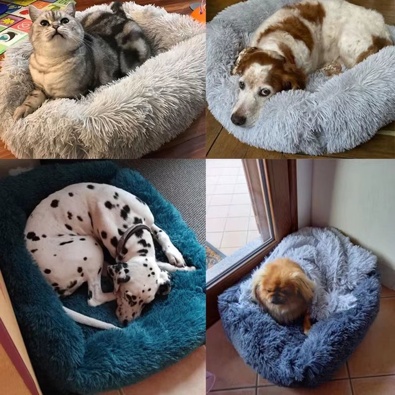 dog bed|innercircuits.org/