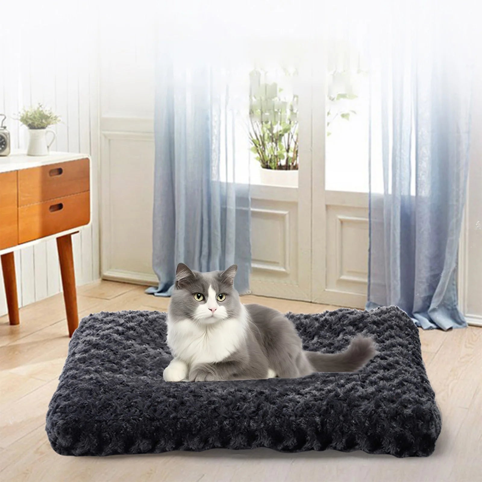 Clearance, Small Cat Bed Washable, Small Dog Bed Puppy Bed for Small Dogs - Anti-Slip Cat Sleeping Mat 17 Inches (Black)