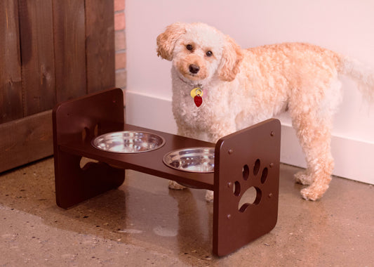 pet feeding station|innercircuits.org/