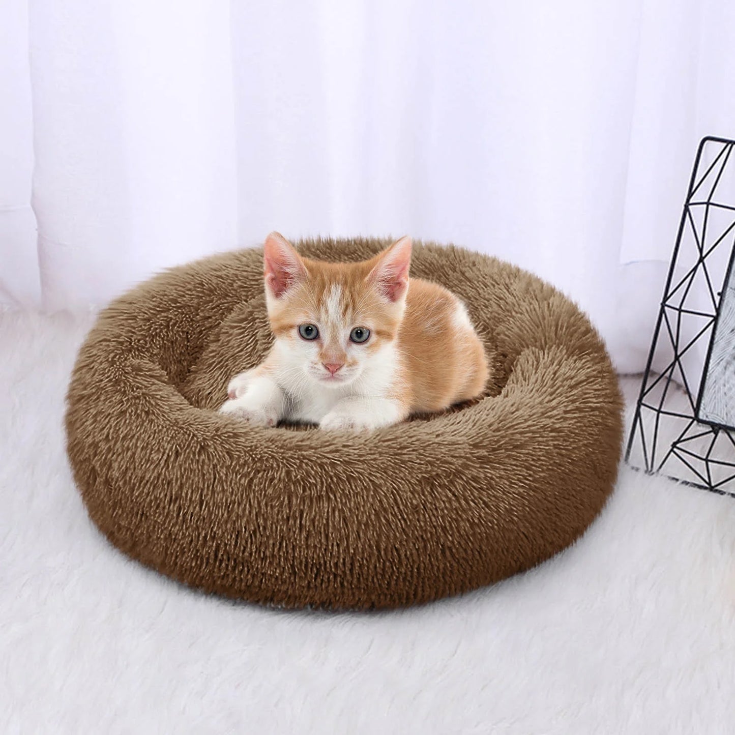 pet beds for small dogs|innercircuits.org/