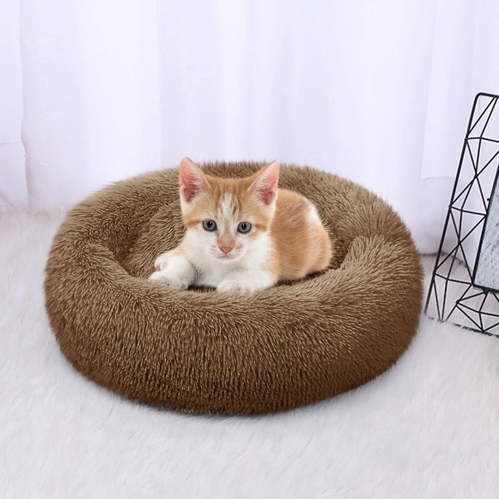 pet beds for small dogs|innercircuits.org/