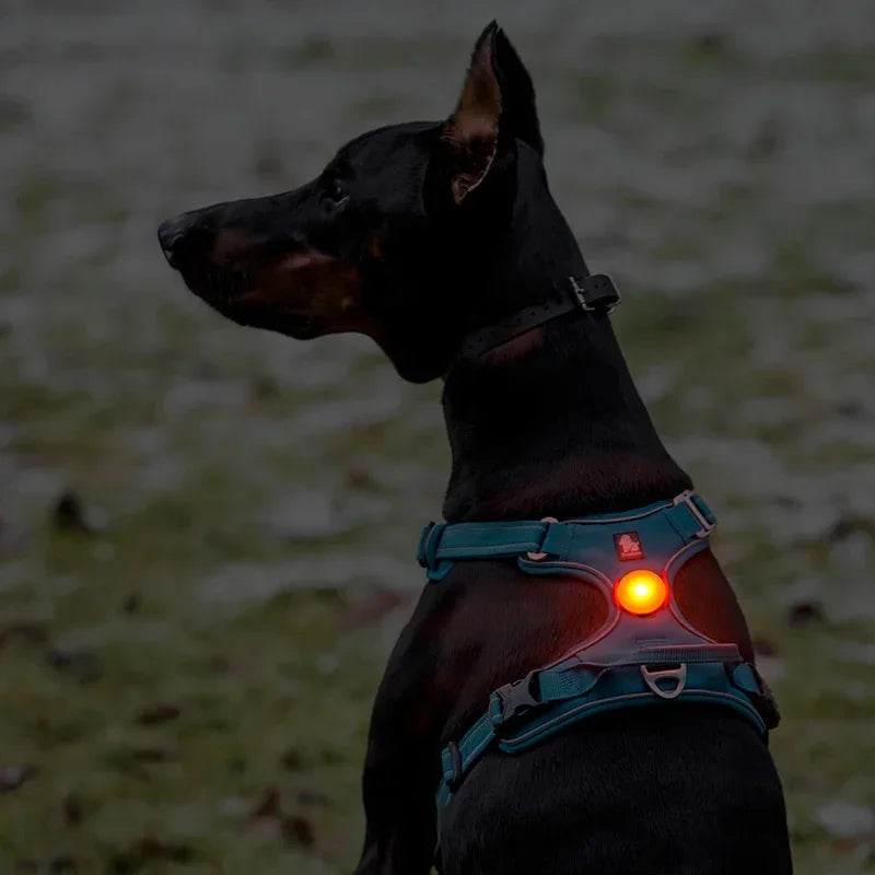 pet outdoor waterproof safety ledlight|innercircuits.org/