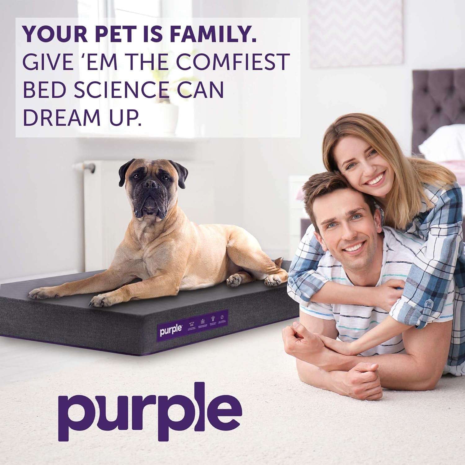 luxury dog bed|innercircuits.org/