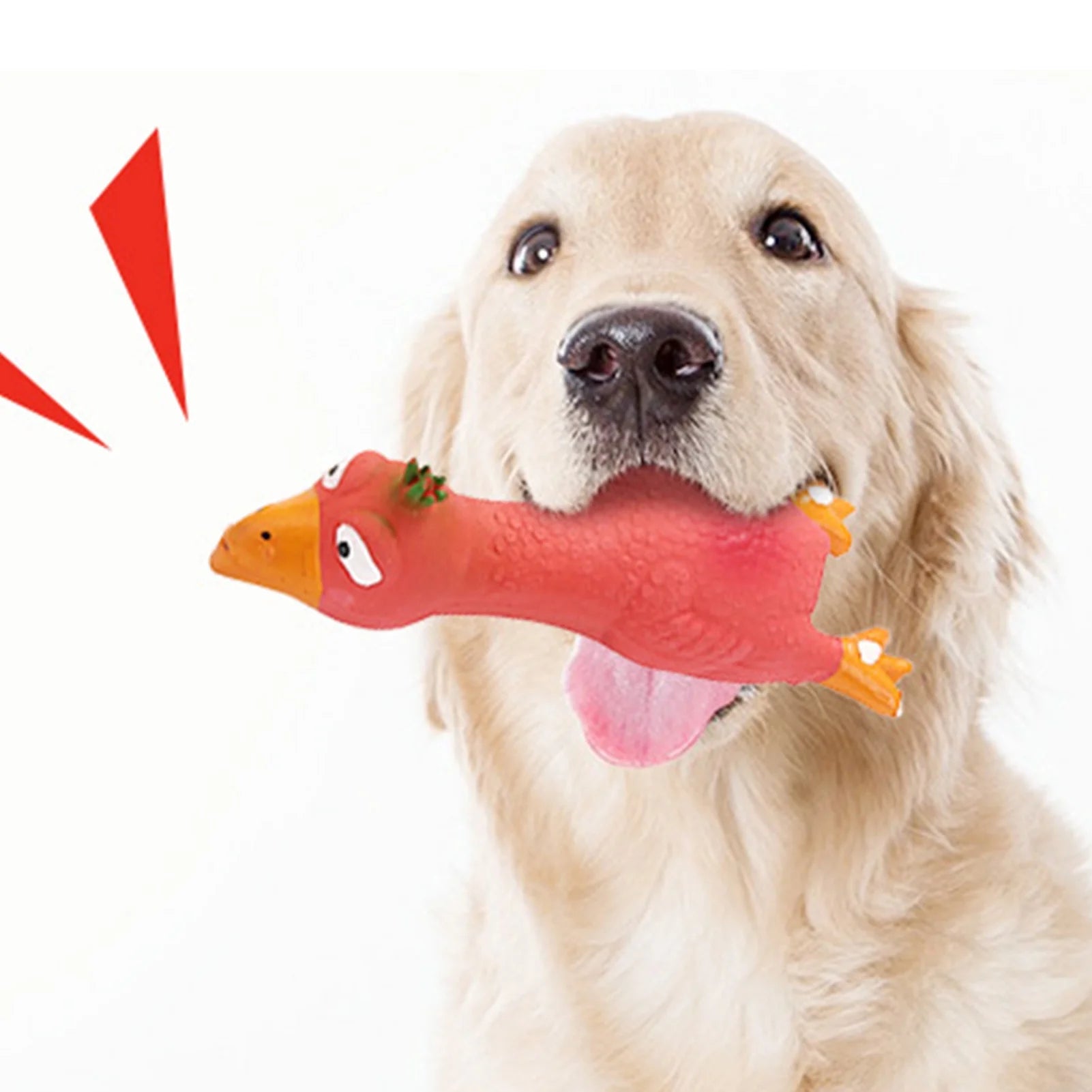 dog squeaky toy|innercircuits.org/