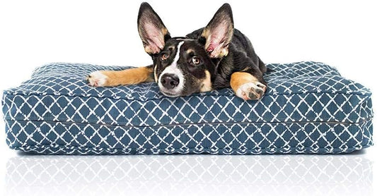 Dog Bed - Orthopedic Cluster Fiber Filling Pet Bed for Dogs & Cats - Waterproof Cotton Canvas Cover Featuring Livesmart Technology - Assembled in the USA - Small Medium & Large Size